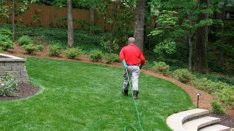 Comprehensive Lawn Care Program | Turf Masters Lawn Care