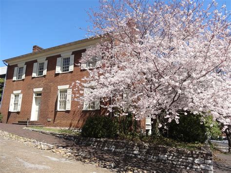 Cherry blossom and old red brick colonial house in Knoxvil… | Flickr