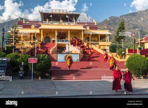 Gyuto Monastery, Dharamsala, Himachal Pradesh, India, Asia Stock Photo - Alamy