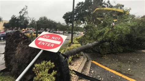 PHOTOS: Severe storm damage across Tampa Bay | wtsp.com