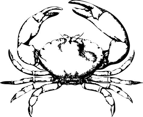 Free Crab Vector, Download Free Crab Vector png images, Free ClipArts on Clipart Library