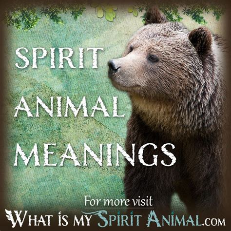 Spirit, Totem, & Power Animal Meanings