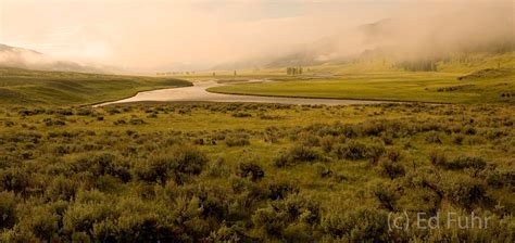 Sunrise on the Lamar Valley | Yellowstone National Park | Ed Fuhr Photography