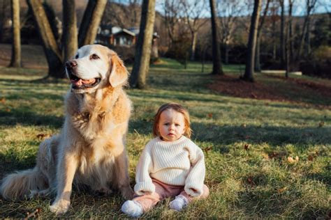 Baby and Dog – The Current