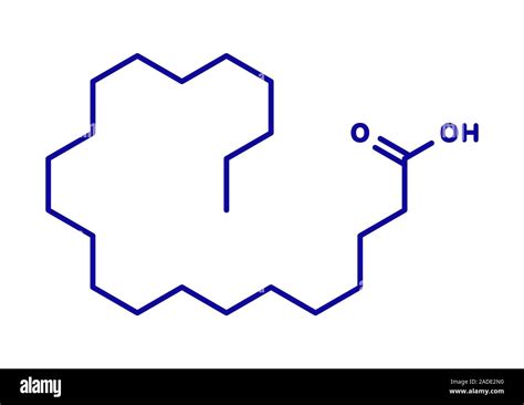 Behenic acid (docosanoic acid) saturated fatty acid molecule. Blue ...