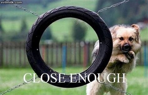 Good Attempt Dog-Best Close Enough Memes