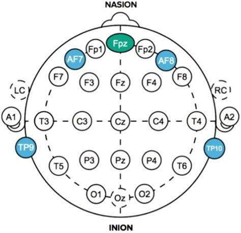 The placement of EEG electrodes. | Download Scientific Diagram