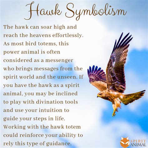 Hawk Spirit Animal | Meaning | Hawk spirit animal, Spirit animal ...