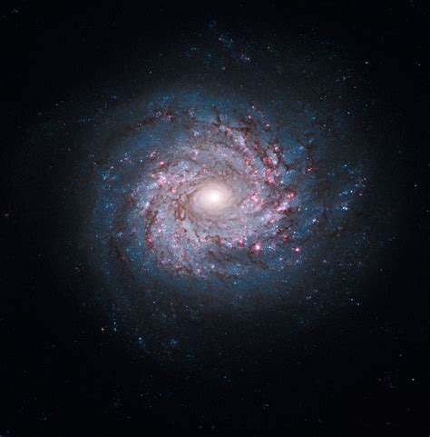 Free download Spiral galaxy NGC 3982 Credit NASA ESA and the Hubble ...