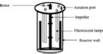 Photobioreactor Design for Algal Biomass Production | Oklahoma State University