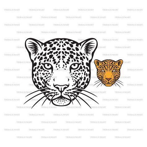 Jaguar Cut Files For Clip Art Silhouette (eps, Svg, Pdf, Png, Dxf, | ubicaciondepersonas.cdmx.gob.mx