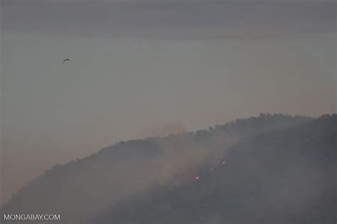 Forest fire in Australia [australia_fnq_0672]