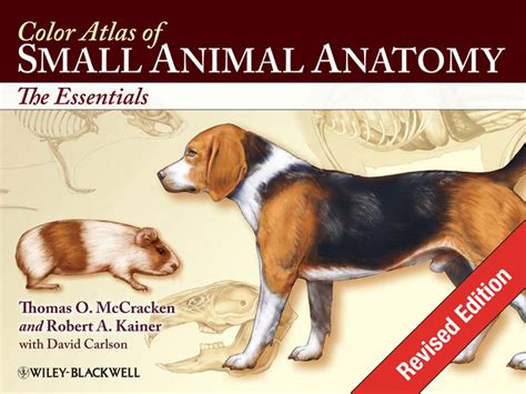 Color Atlas of Small Animal Anatomy: The Essentials, Revised Edition