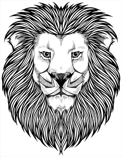 Lion Coloring Pages - ColoringBay