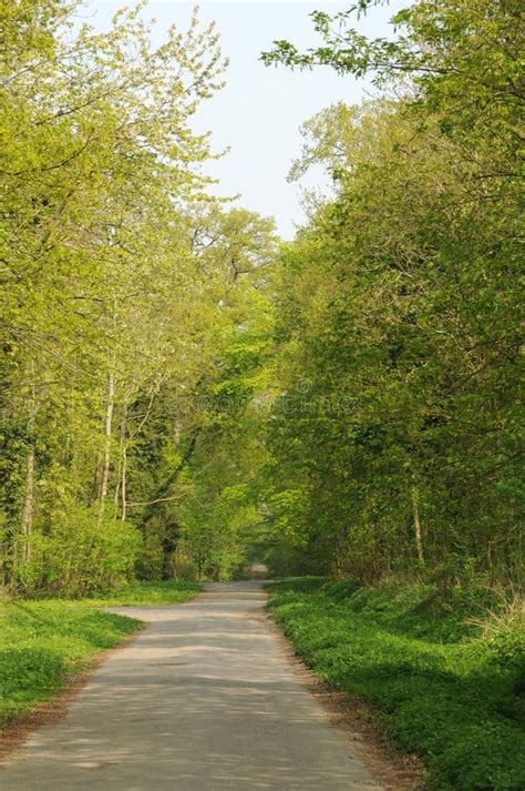 Saint-Germain-en-Laye, France - April 3 2017 : the National Forest Stock Photo - Image of france ...