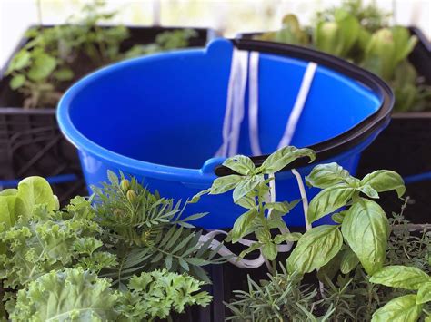 DIY Wick Watering System - Gardening4Joy | Self watering plants, Garden watering system, Watering