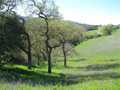 Rancho San Antonio Park | Rancho San Antonio, Hiking, Bay Ar… | Flickr