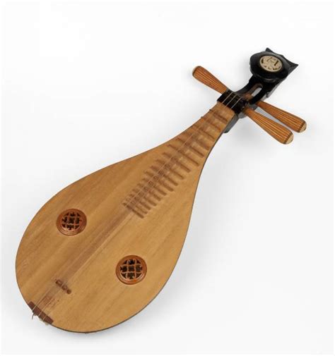 Asian stringed instrument - senturinlinked