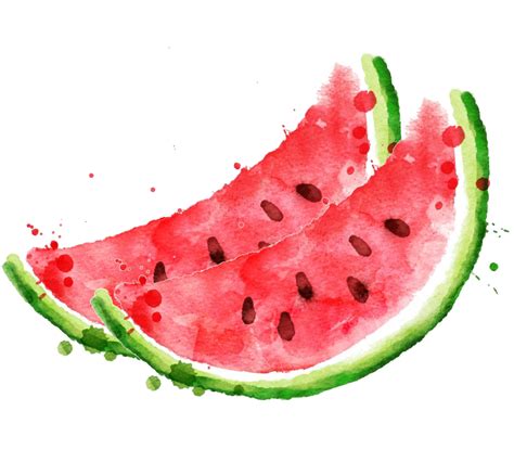 Watermelon clipart watercolor, Watermelon watercolor Transparent FREE ...