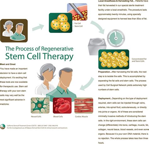 Stem Cell Therapy Diagram