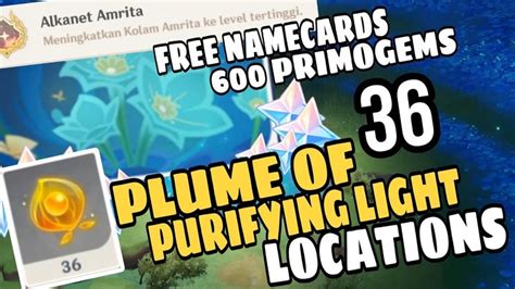 How to unlock the Amrita Pool in Genshin Impact For 620 Free Primogems