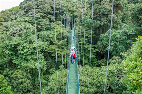 Sky Walk, Nature Based Hanging Bridges | Sky Adventures