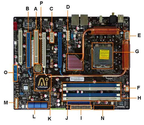 Motherboard Diagram: Identify Components for Motherboard Upgrades or ...