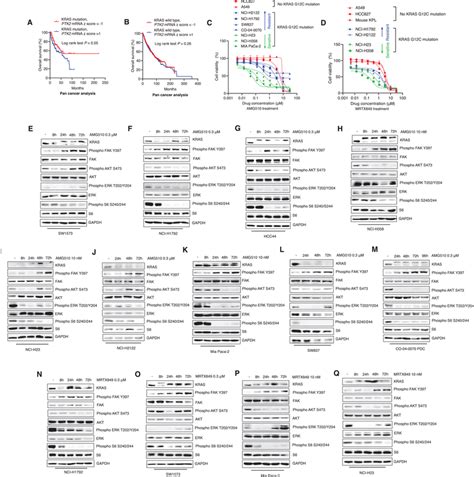 FAK serves as an informative biomarker for aberrant KRAS signaling and ...