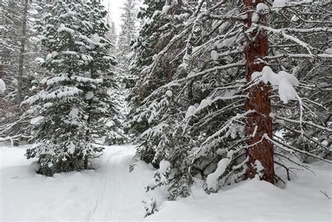 Snowshoeing Through Rocky Mountain National Park Photograph by Cascade ...