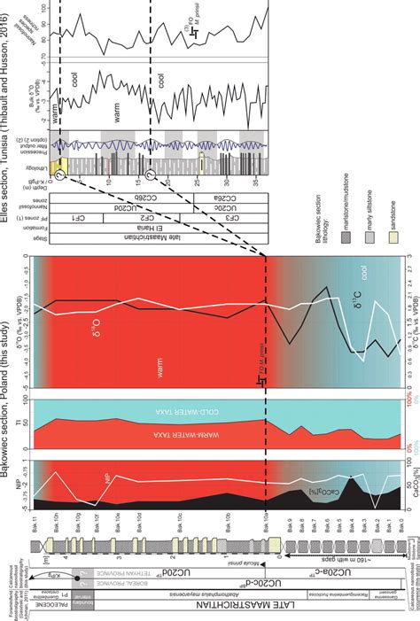 Late Maastrichtian changes in bulk δ 13 C and δ 18 O, in the CaCO 3... | Download Scientific Diagram