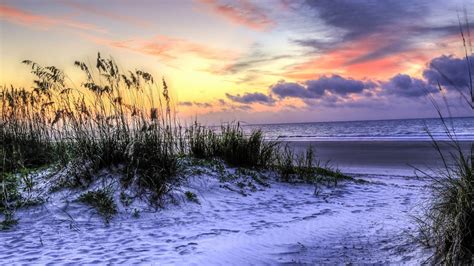 Wallpaper Hilton Head Island, South Carolina, USA, beach, grass, sea ...