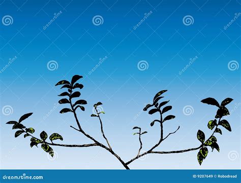 Branch (vector) stock vector. Illustration of framed, background - 9207649