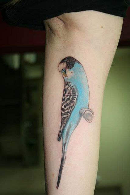 I'd get my bird who is white with yellow and aqua he's so pretty. Tattoo Script, Ink Tattoo ...