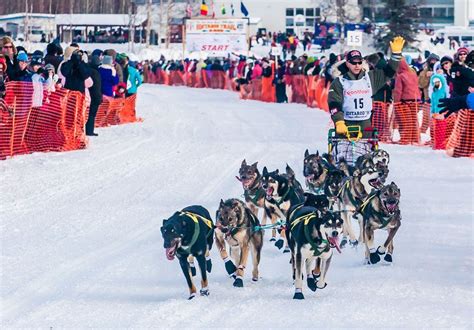 Iditarod Trail Sled Dog Race | History, Map, & Facts | Britannica