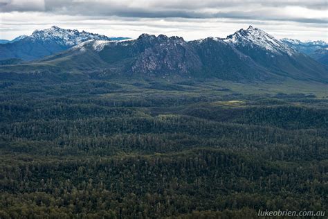 Liberal Party Lunacy - Let's Log the World Heritage Area! - Luke O'Brien Photography