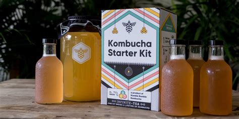 Top 15 Kombucha Brewing Kit Questions and Answers | Craft a Brew Blog