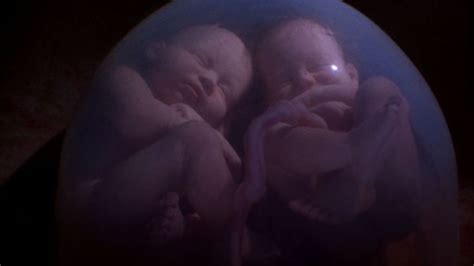 Identical twins Photos - In The Womb - National Geographic Channel - India