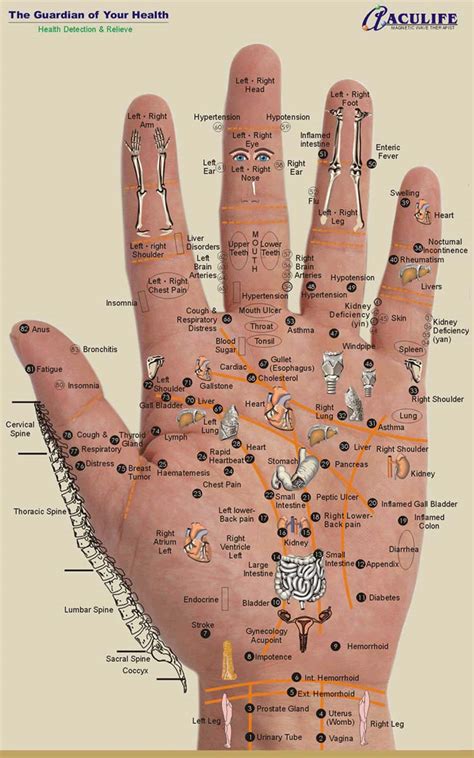 Hand reflexology charts!