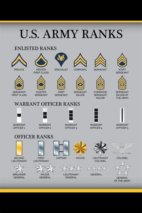 Buy United States Army Rank Chart Reference Enlisted Officer NCO Guide ...