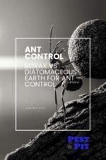 Borax vs Diatomaceous Earth: Which is better for getting rid of ants? - Pest Pit