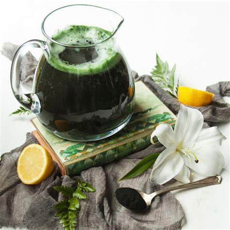 Micro Ingredients Organic Spirulina Powder