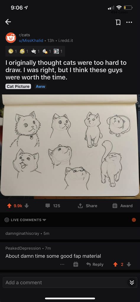 Cursed_cat-drawing : r/cursedcomments