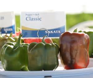 Sakata Seed America Growing Portfolio with New Seed Offerings | AndNowUKnow