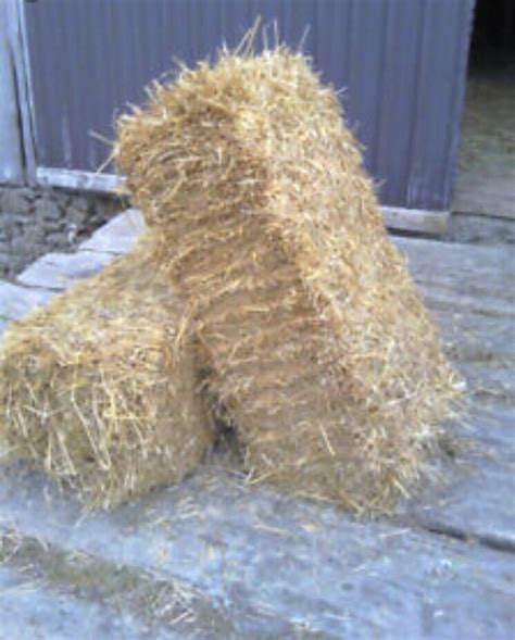 WANTED 2-3 small square bales of straw | in Fochabers, Moray | Gumtree