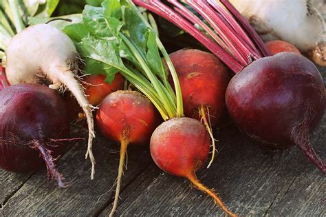 17 of the Best Beet Varieties to Plant | Gardener's Path