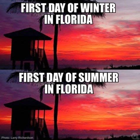 28 Florida Cold Weather Humor ideas | florida, florida funny, humor