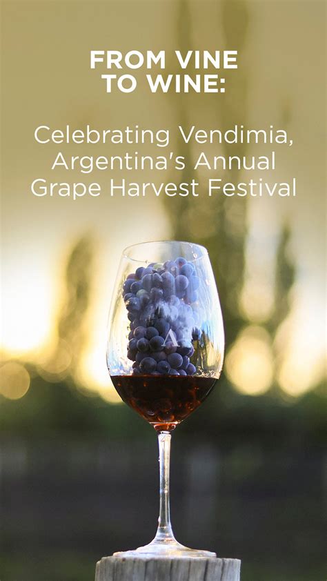 Discovering the Magic of Vendimia: Argentina's Wine Harvest Festival ...