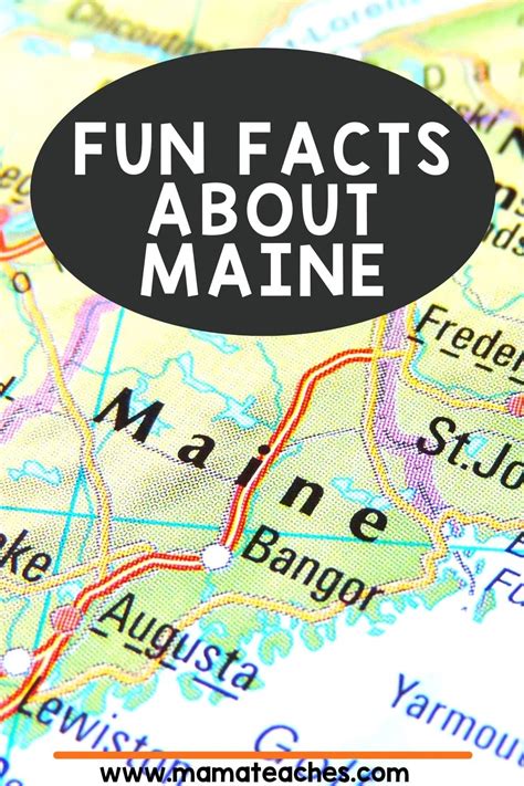 Fun Facts About Maine for Kids - Mama Teaches