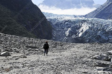 Fox Glacier - Stock Image - C008/3394 - Science Photo Library