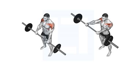 Barbell Front Raise - Guide, Benefits, and Form